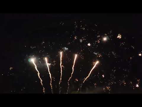 Red & Silver Strobe tail Red Dahlia