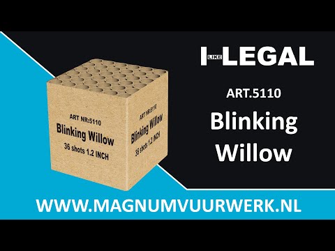 Blinking Willow