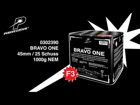 BRAVO ONE