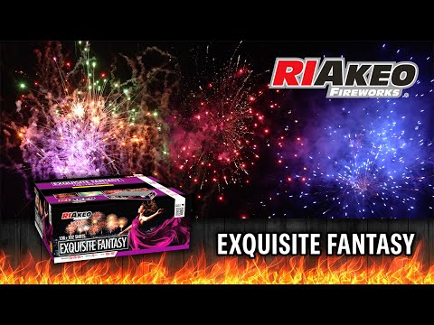 Exquisite Fantasy